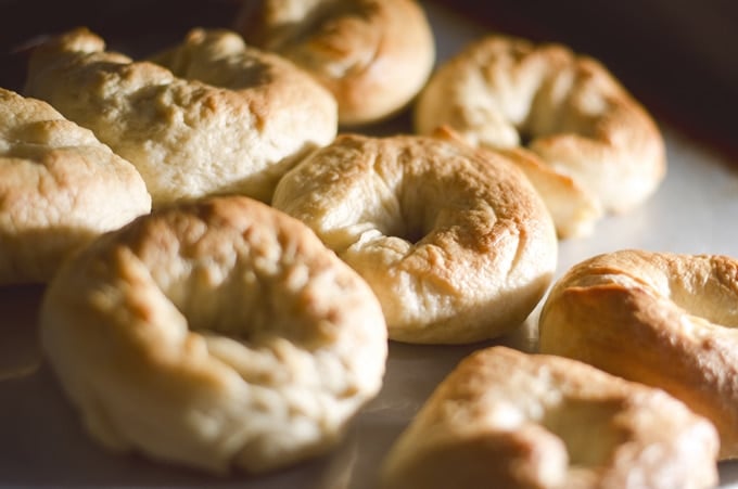 Who knew homemade bagels could be so easy, fun, and delicious! You just need 4 simple ingredients to make fluffy, perfect bagels at home.