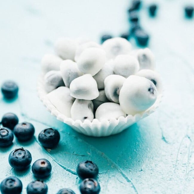 frozen yogurt blueberry bites