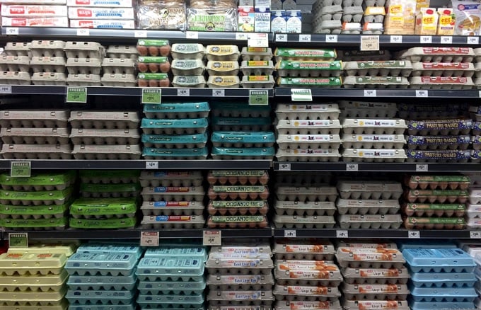Eggs in a grocery store