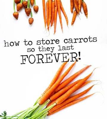 Did you know orange carrots are a product of Dutch patriotism? Learn about that and more in this all-inclusive guide to the carrot!