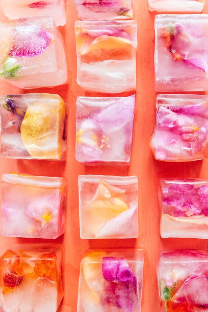 Edible flower ice cubes lined up in rows on an orange background