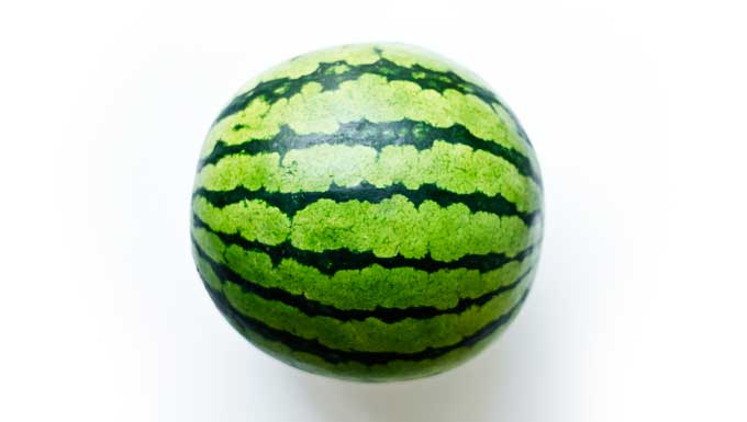 Picture of icebox watermelon on a white background