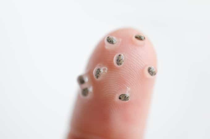 Close up photo of chia seeds on a finger