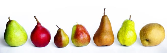Different types of pears on a white background