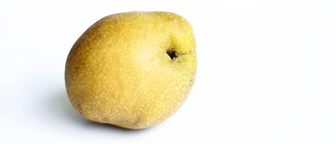 Asian pear on a white background