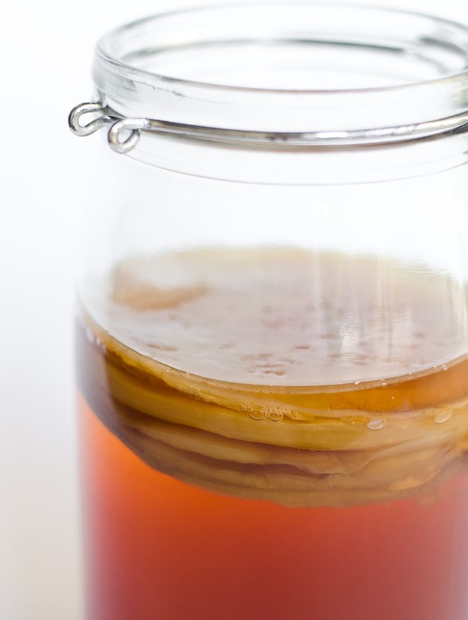 Picture of a kombucha SCOBY in a jar with white background
