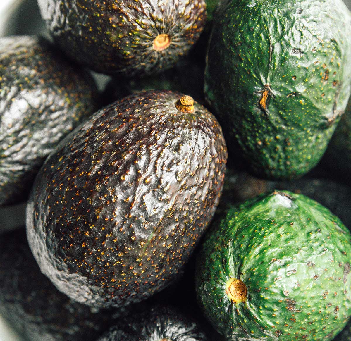 Whole avocados close up