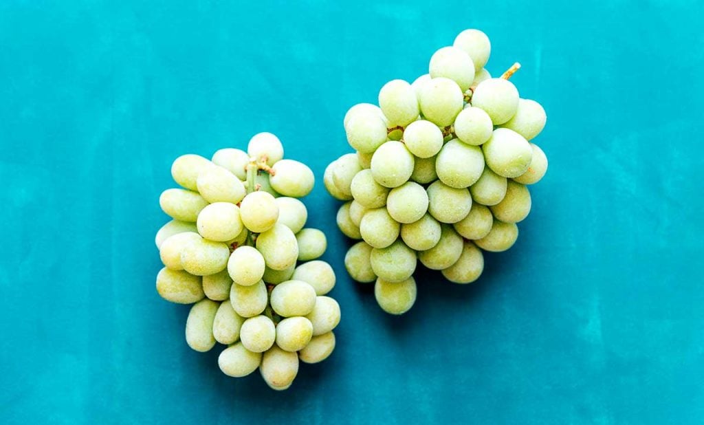 Frozen green grapes on a blue background