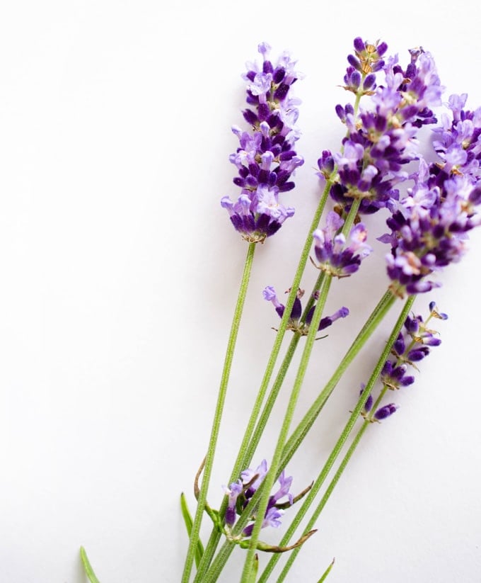 How to Cook with Lavender