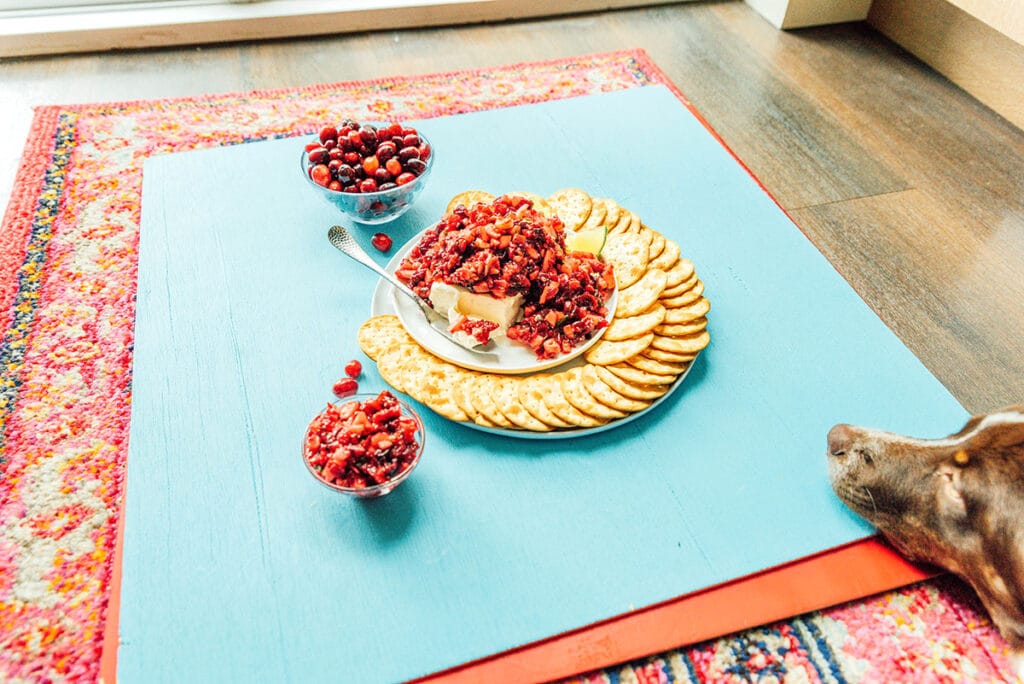 A cranberry salsa platter on a blue piece of posterboard with a dog looking on from the side