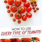 Everything you need to know about the many types of tomatoes! From heirlooms to hybrids, we're covering the cooking with tomatoes basics.