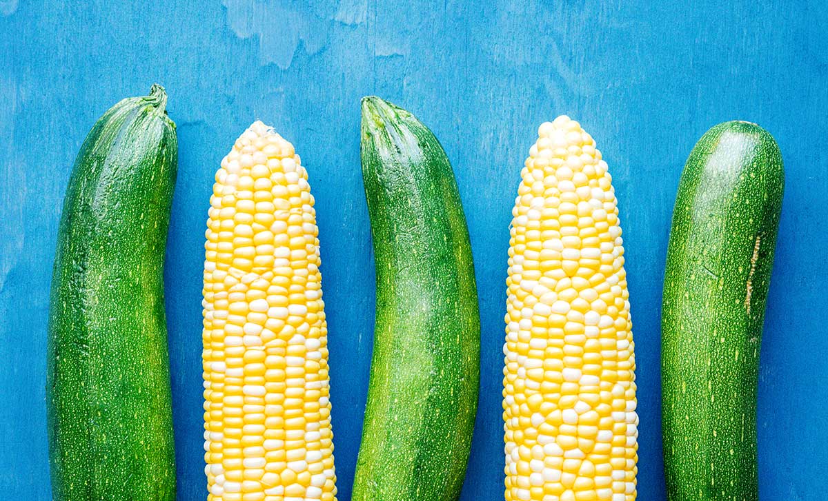 Zucchini and corn on a blue background.