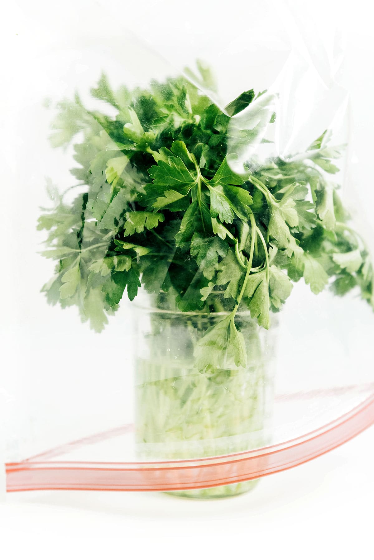 A plastic bag covering a mason jar filled with water and a bunch of herbs