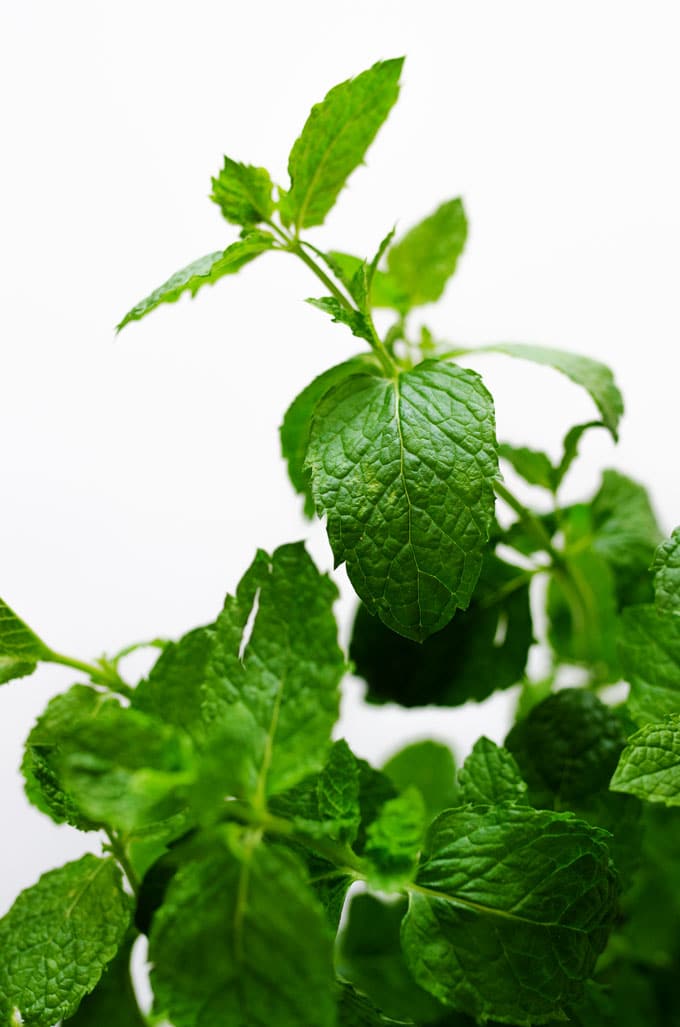 Have more fresh mint on your hands that you don't know what to do with? Here are 7 tasty culinary ways to use fresh mint!