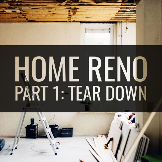 Home Renovation Part 1: Tear Down