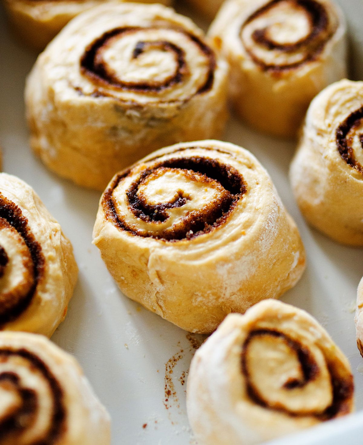Raw cinnamon rolls in a baking dish.