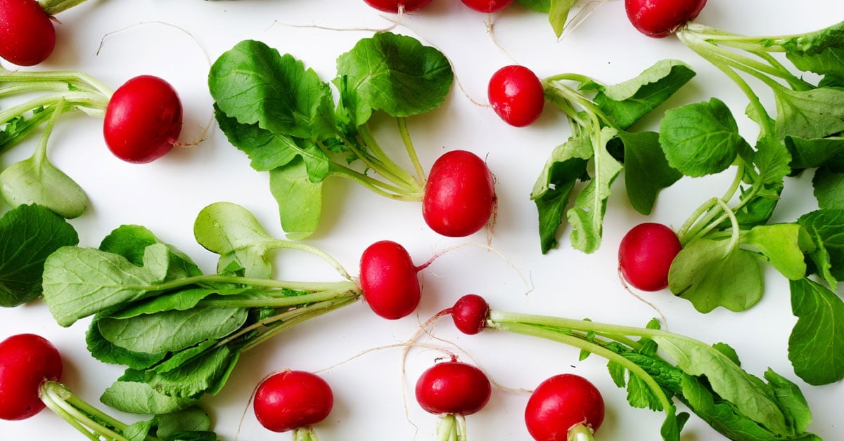 red radishes on a white background - These radish recipes are simple and delicious (and best of all, they'll make you actually WANT to eat your veggies!) Give them a try for a colorfully peppery crunch.