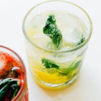 Fruit Mojitos are the *fancy-human* version of this classic cocktail (that take less than 5 minutes to whip together).
