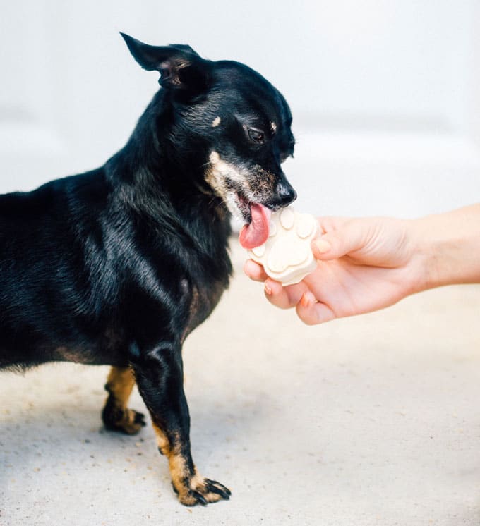 Dog eating popsicles - With innovative and undeniably refreshing recipes for the whole family, For The Love OF Popsicles cookbook is your one-stop-shop for modern, unique pops from A to Z.