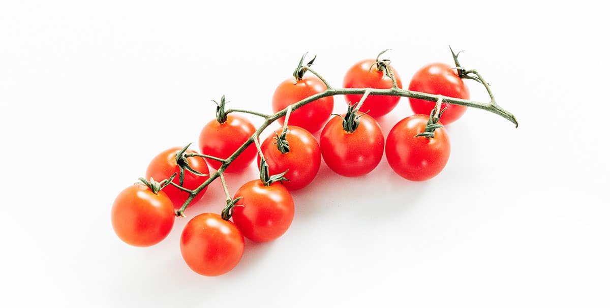 Cherry tomatoes on the vine on a white background