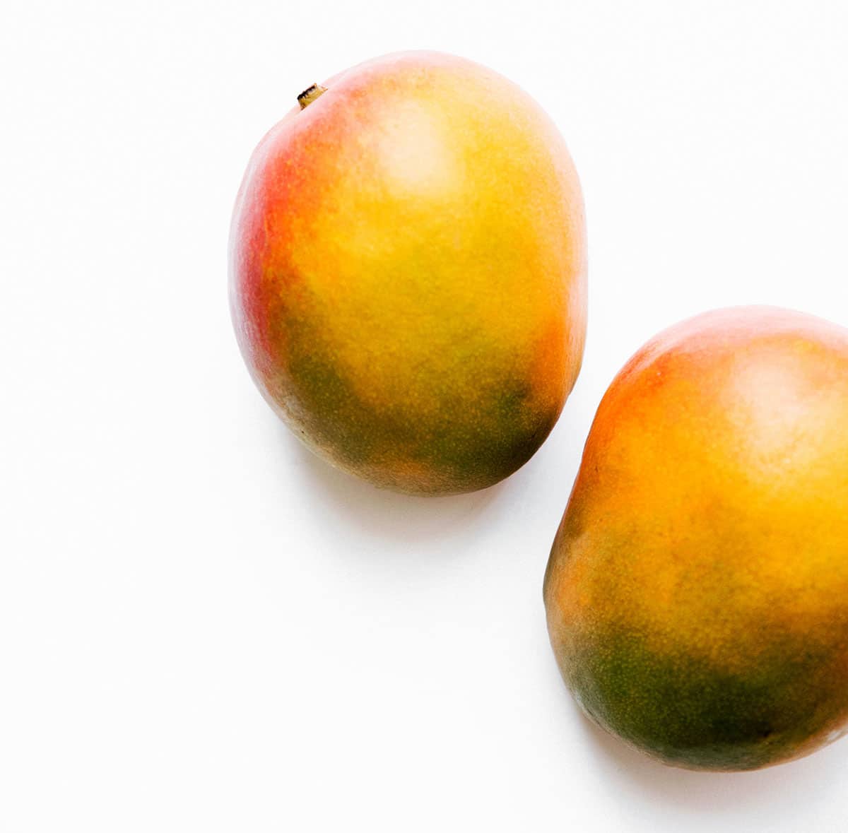 Two mangoes on a white background.