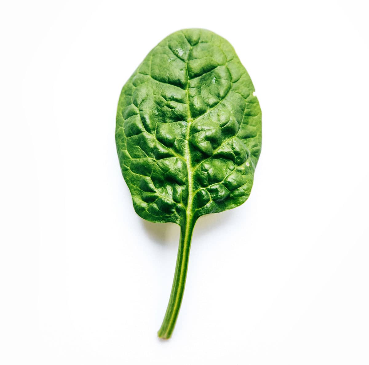 Spinach leaf on a white background.