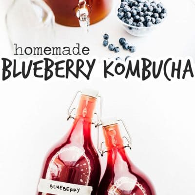 Blueberry kombucha in bottles