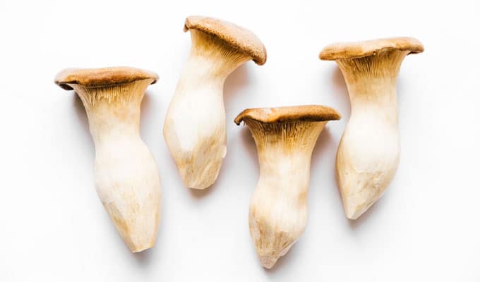 King oyster mushrooms on white background