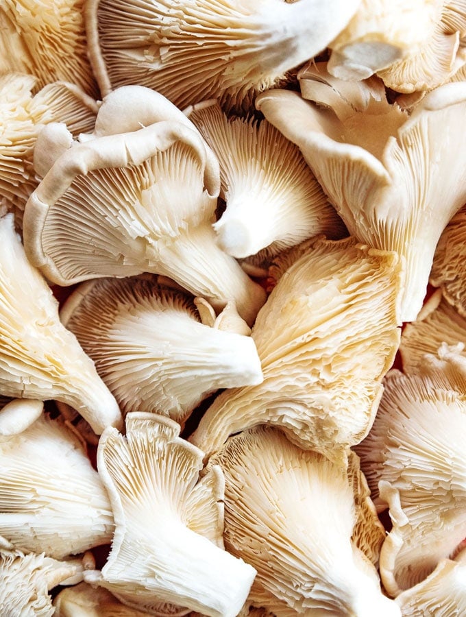 Oyster Mushrooms 101 Buying Cleaning Recipes And More