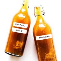 Pumpkin spice kombucha in fermentation bottles on white background