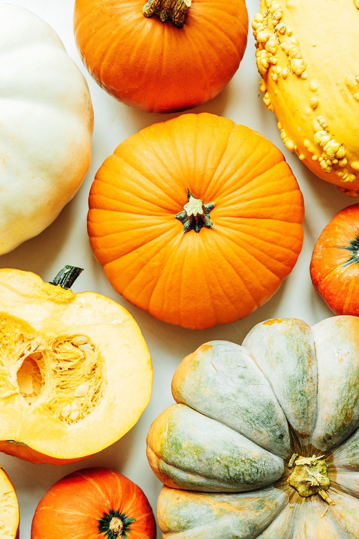 A variety of pumpkins laid out neatly on a white background