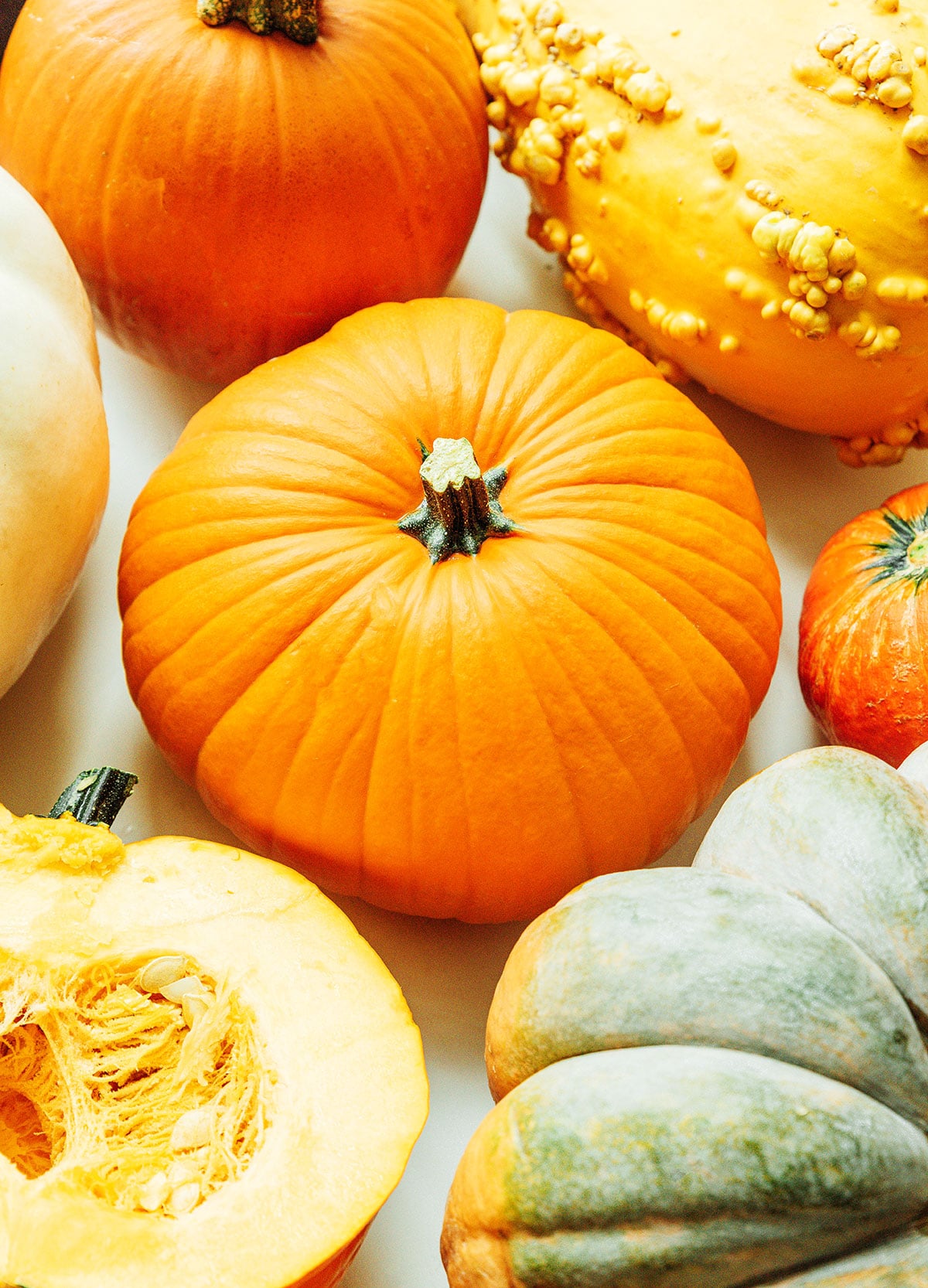 A variety of pumpkins laid out neatly on a white background