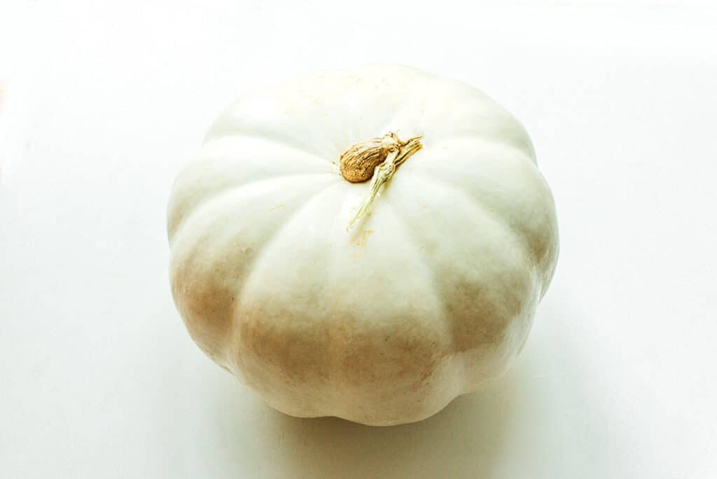 A white pumpkin on a white background