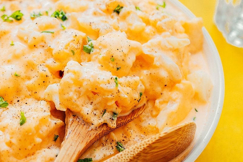 Close up macro photo of cauliflower mac and cheese in a bowl on a yellow background