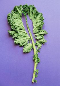 How to remove stem from kale on purple background