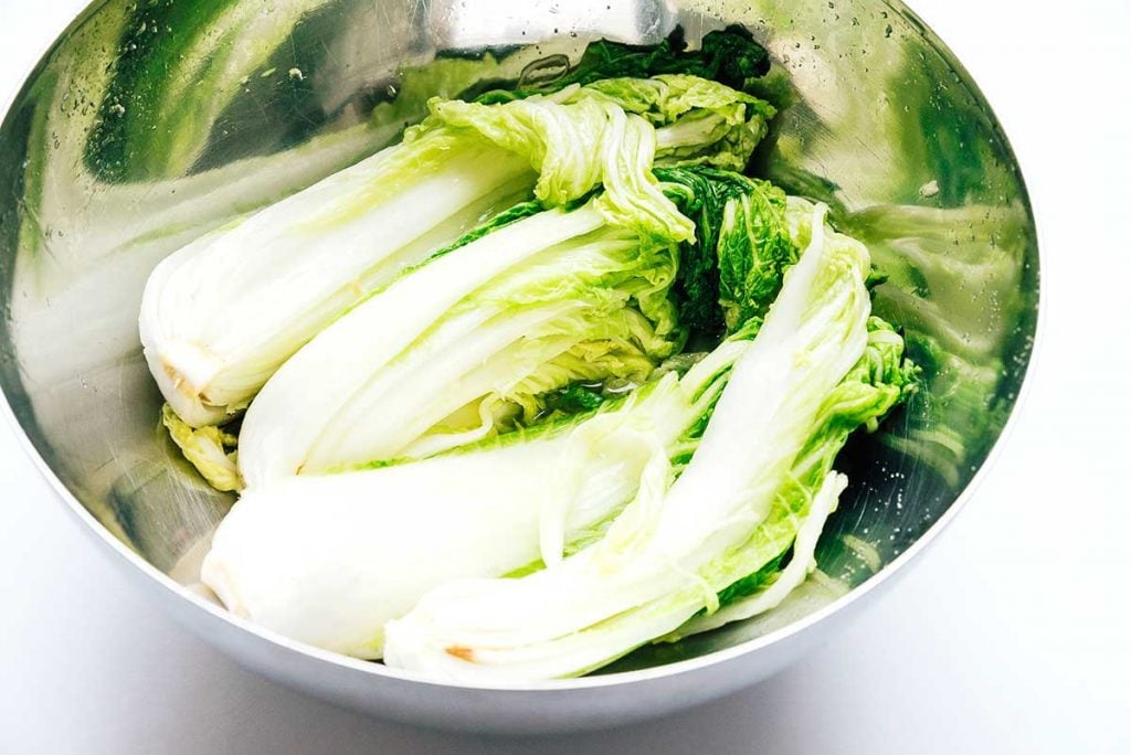 Wilted cabbage with salt in a bowl on white background
