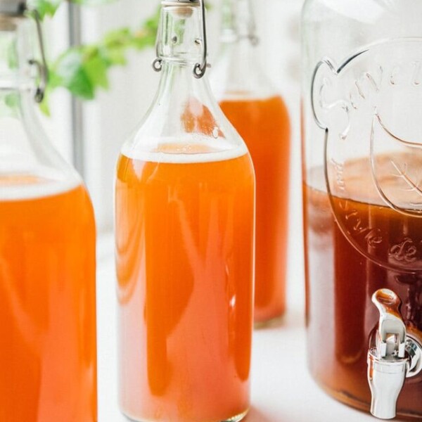 Bottle of kombucha on a counter