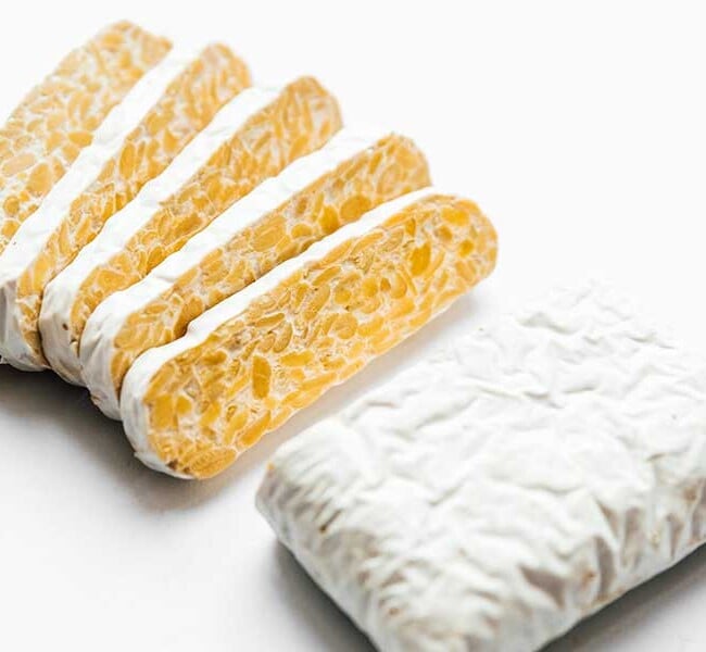 Tempeh on a white background
