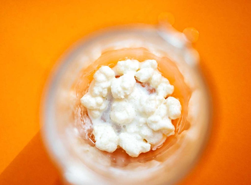 Milk kefir grains in a glass on an orange background