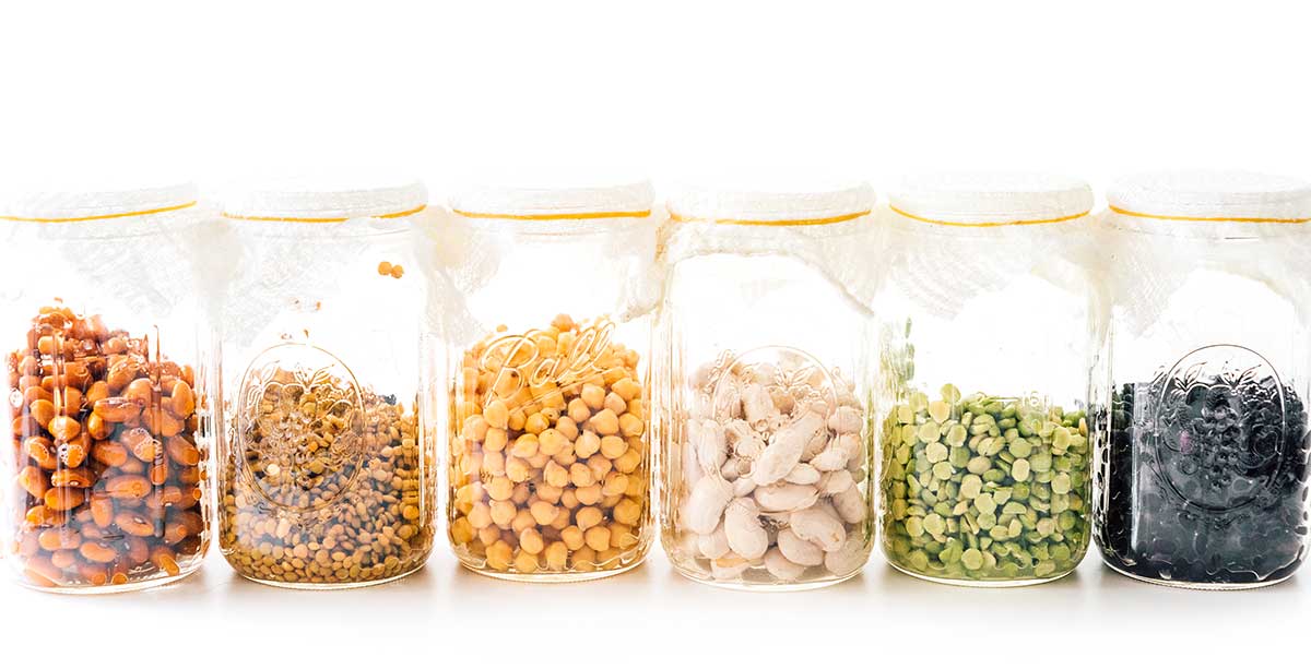 Different legumes in mason jars for sprouting