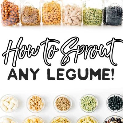 Sprouted legumes in a bowls on a white background