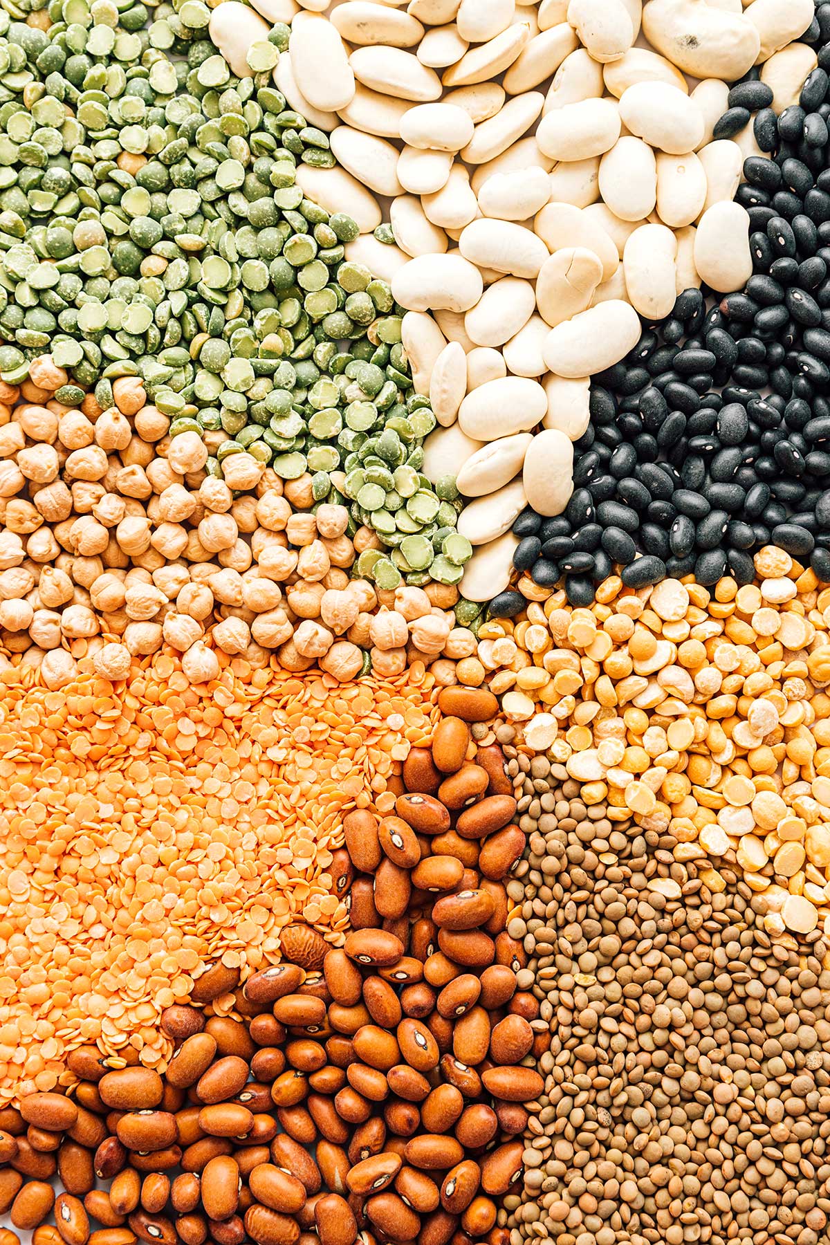 Rainbow of different types of dried legumes