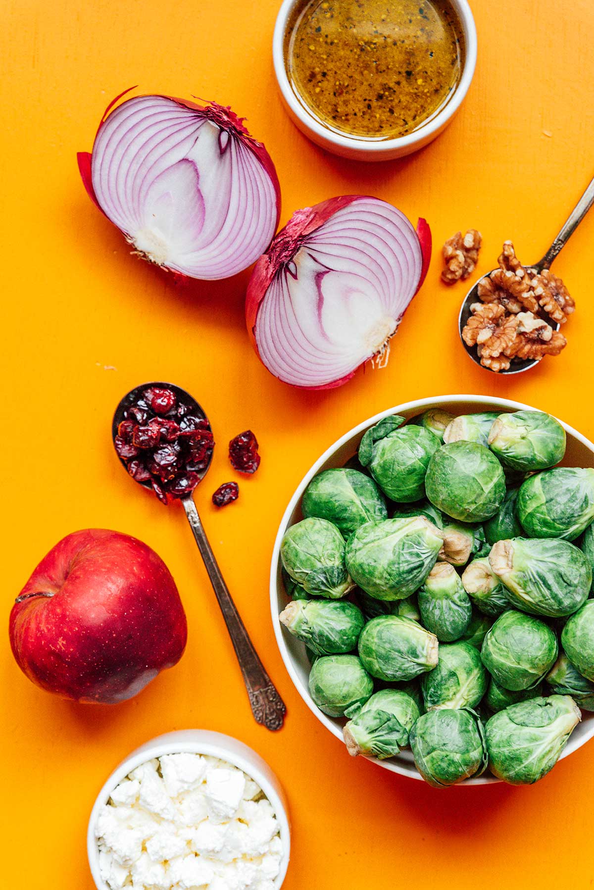 Various roasted Brussels sprout salad ingredients including vinaigrette, red onion, walnuts, Brussels sprouts, apple, and dried cranberries, measured and laid out on an orange background