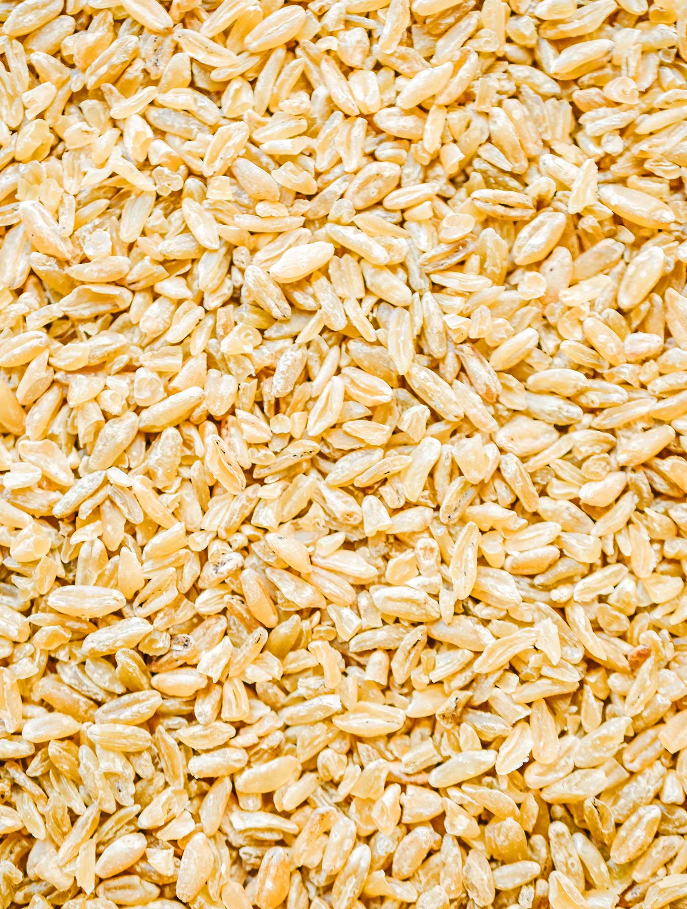 A close-up photo of uncooked freekeh that displays the grains' texture