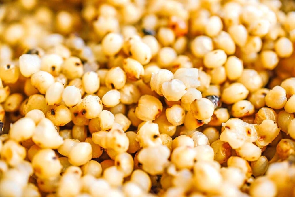 Detailing the texture and color of cooked sorghum