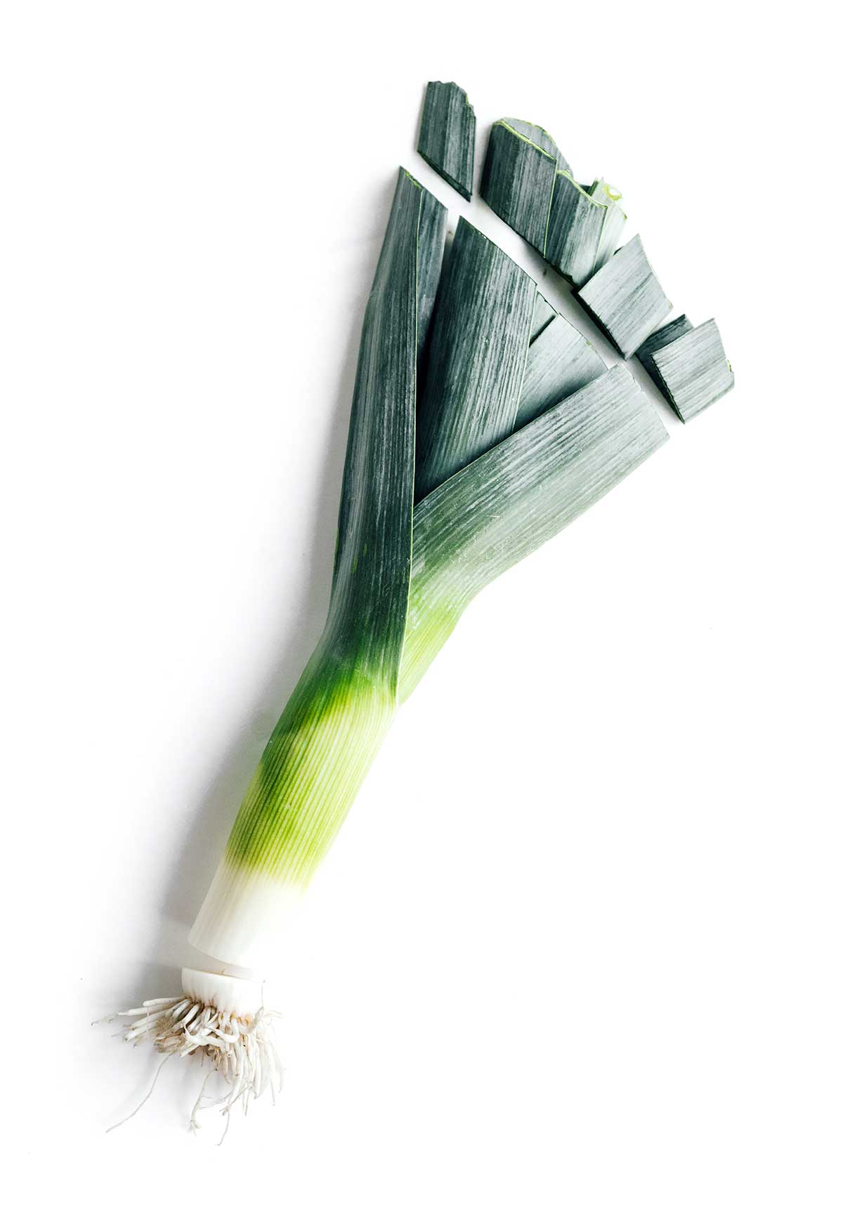 A leek on a white background with the ends cut off, detailing how to cut a leek