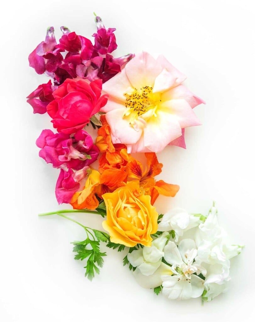 Edible flowers on a white background