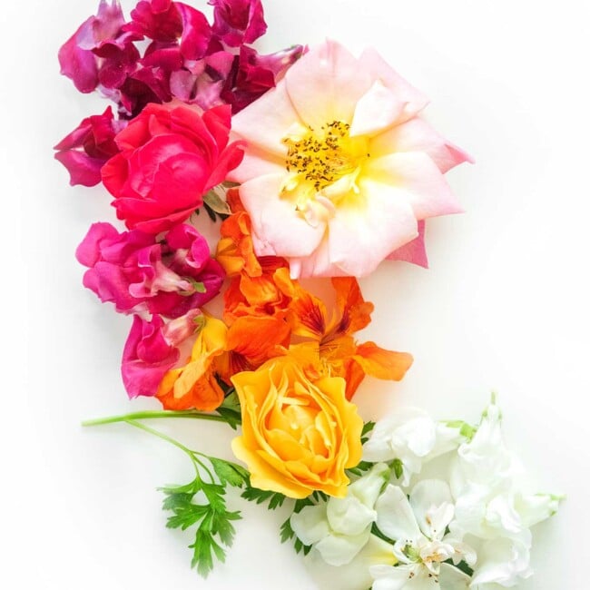 Edible flowers on a white background