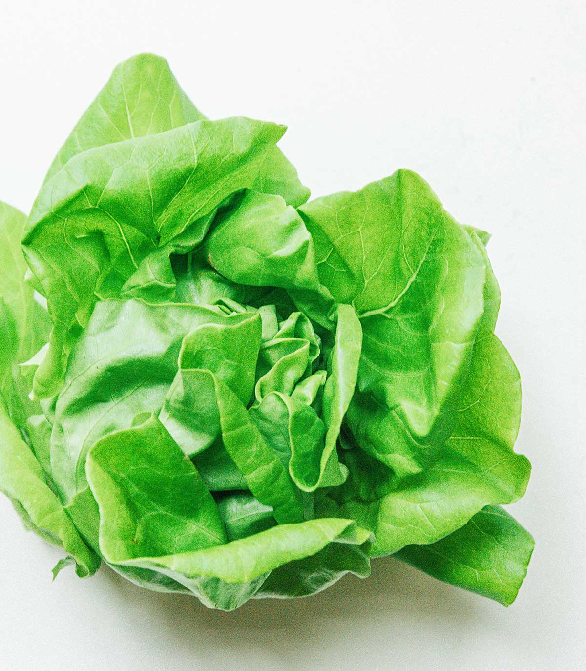 A close-up image detailing the texture and color of a head of green butterhead lettuce