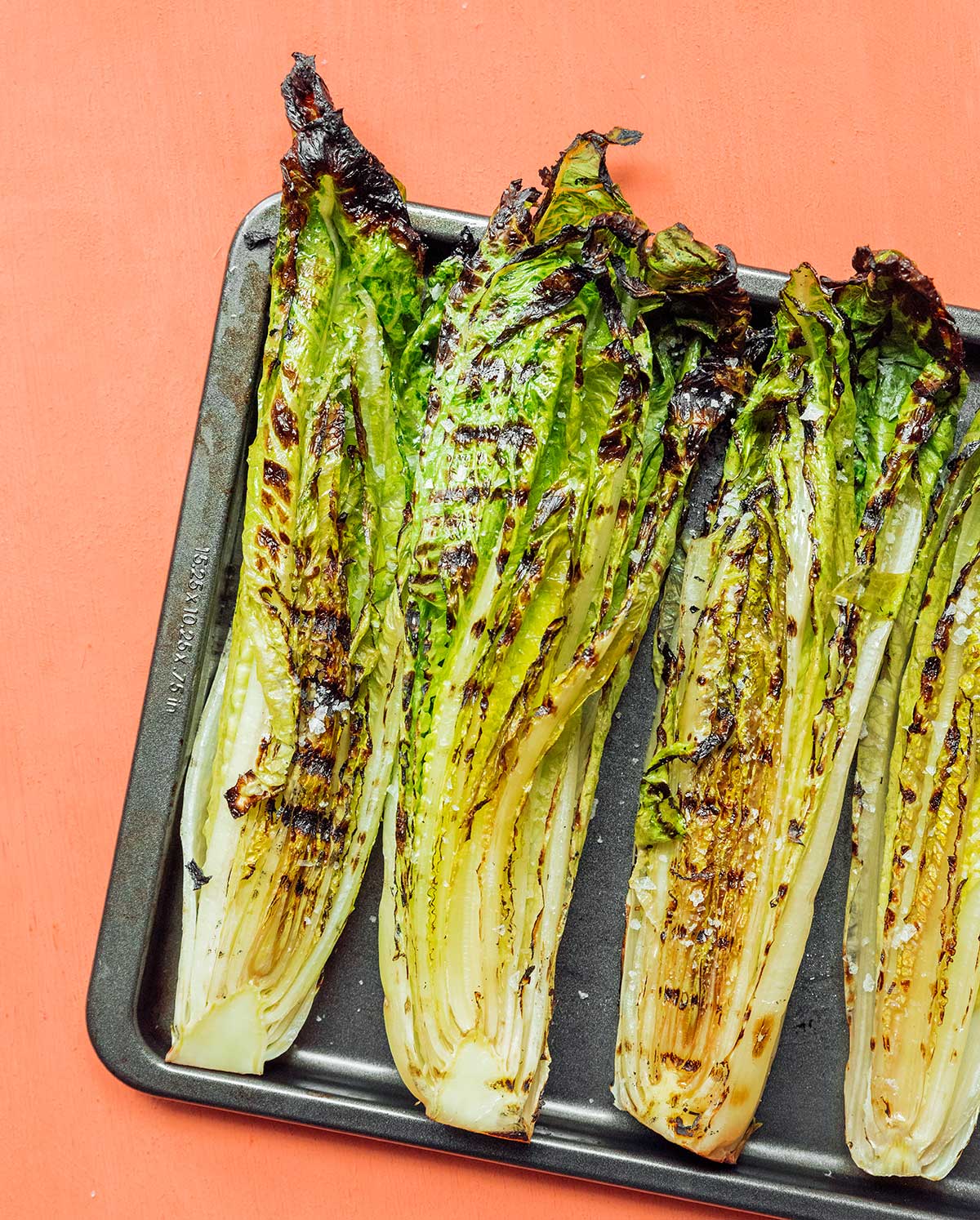Four freshly grilled romaine heart halves lined up on a baking tray
